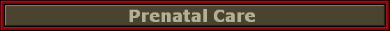 Prenatal Care 